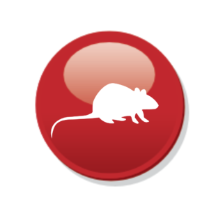 Pest Control Essex: The Best Solution for Pest Problems from bpc pest control