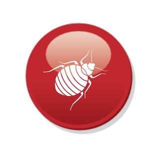 Pest Control in Essex: Keeping Your Home Pest-Free and Healthy
